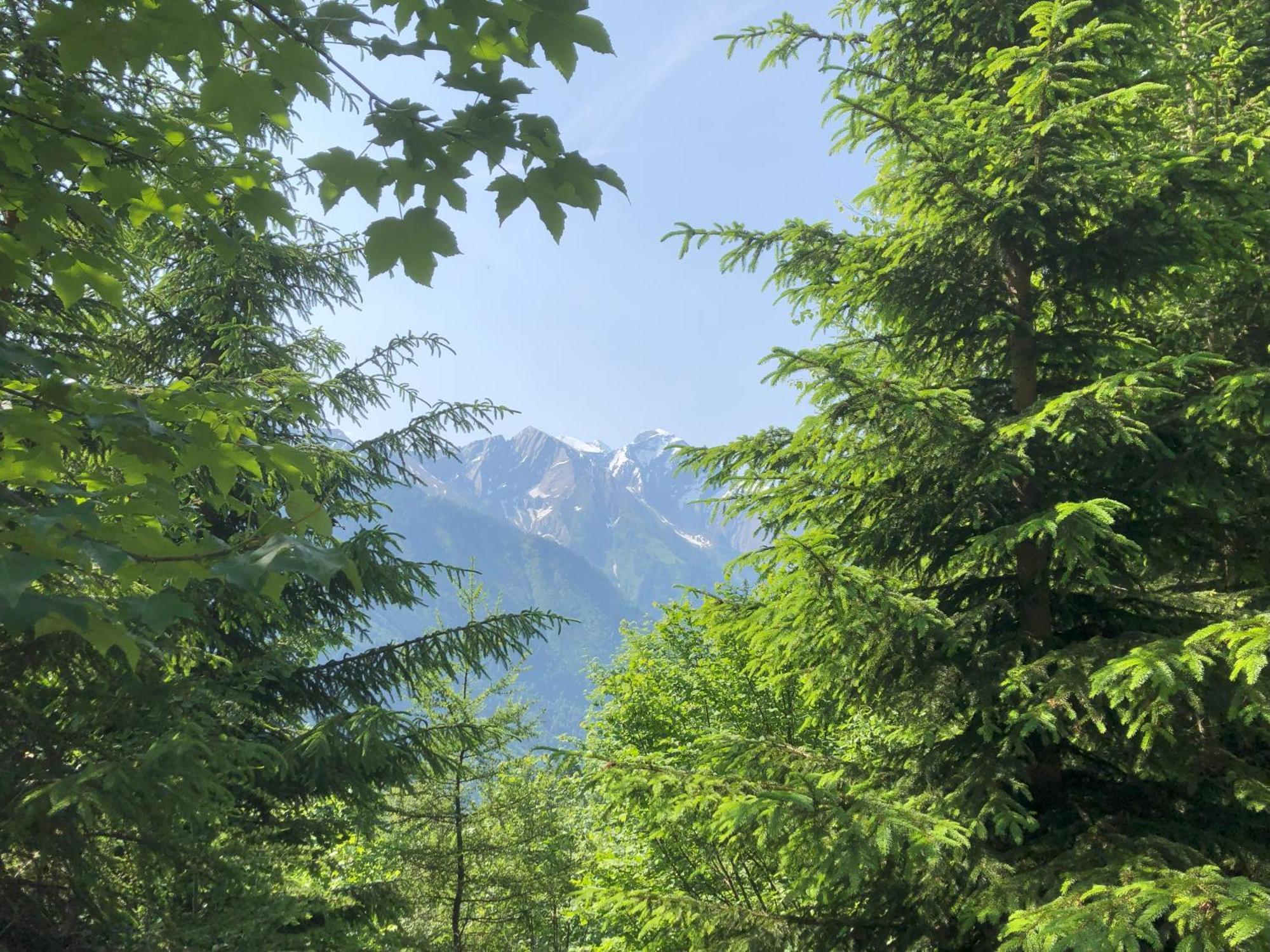 Appartamento Haus Voglreiter Kaprun Esterno foto