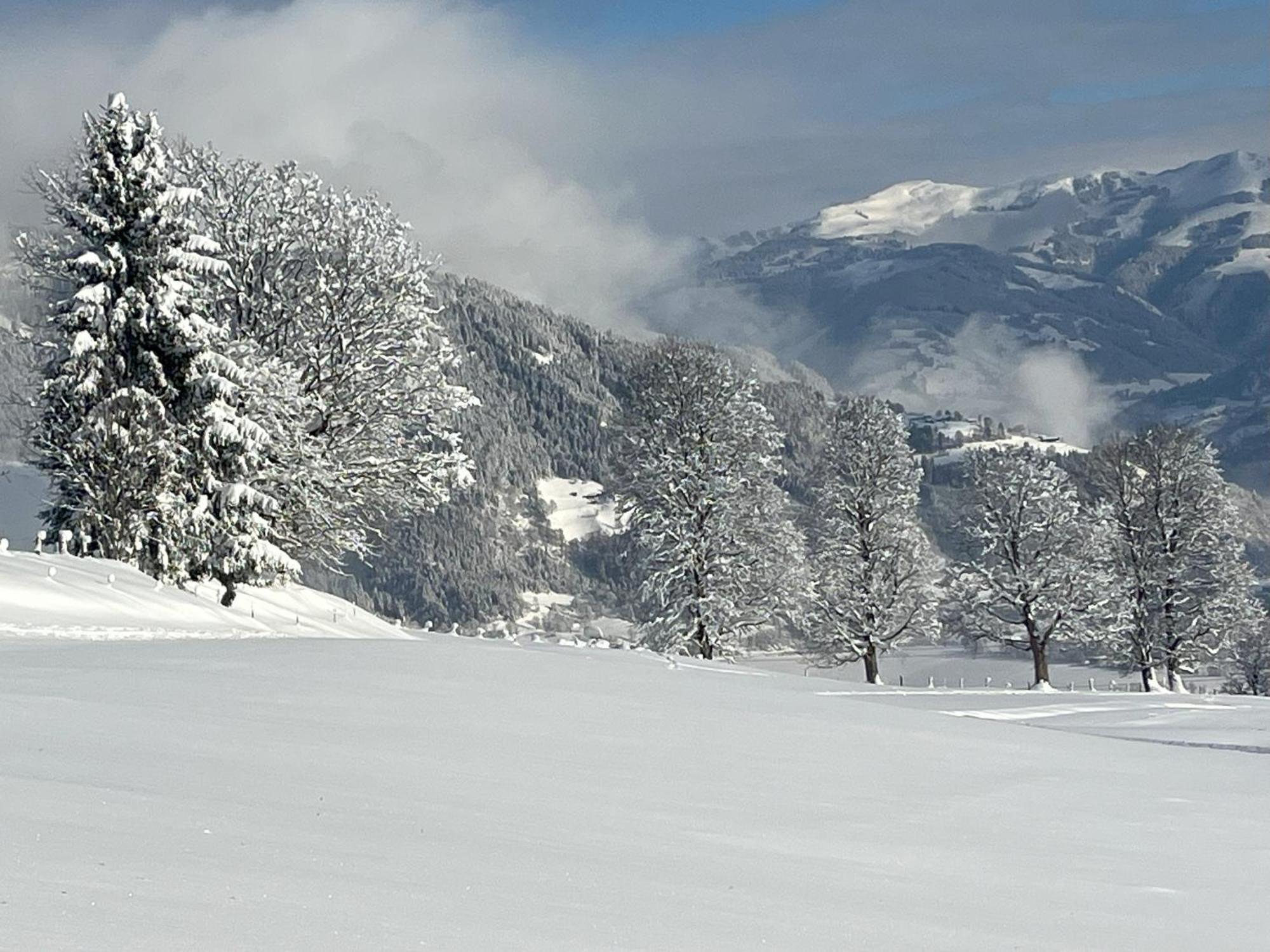Appartamento Haus Voglreiter Kaprun Esterno foto
